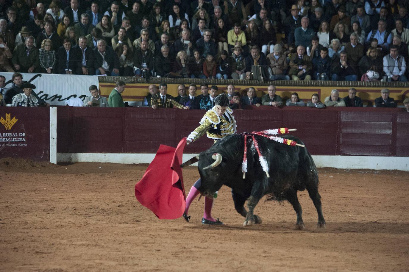 Fotos: Morante, Manzanares y Aguado, en el cuarto festejo de la feria de Olivenza