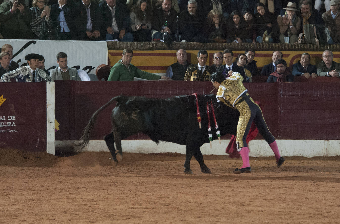 Fotos: Morante, Manzanares y Aguado, en el cuarto festejo de la feria de Olivenza