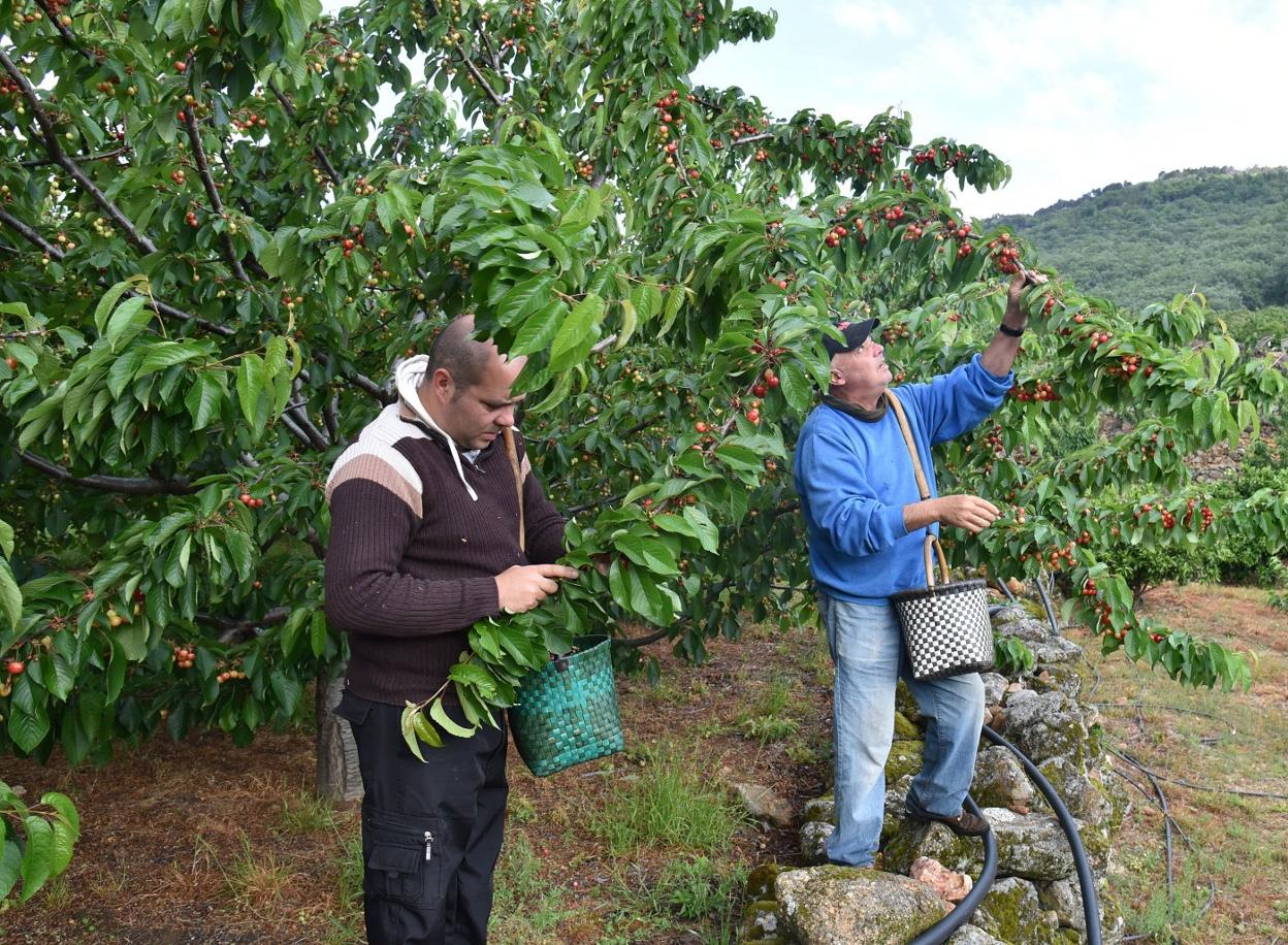 Las medidas de seguridad en las campañas tendrán que cambiar. 