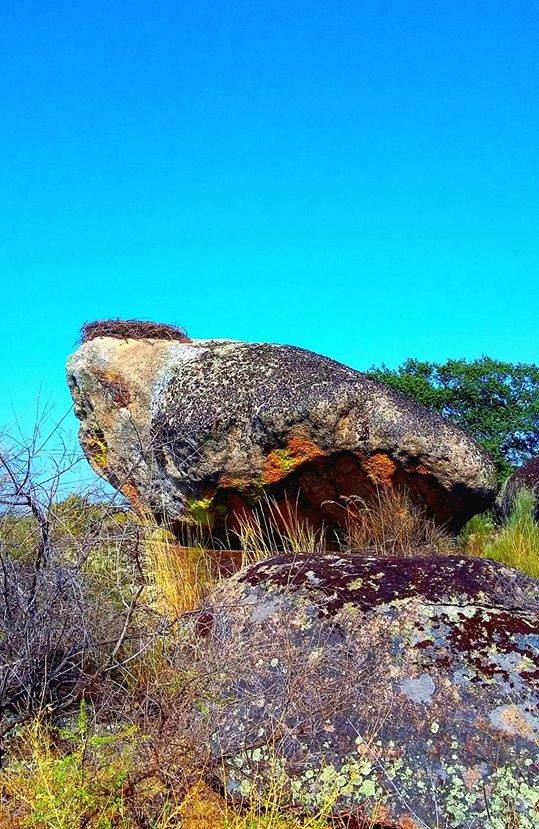 Peña del Buitre.