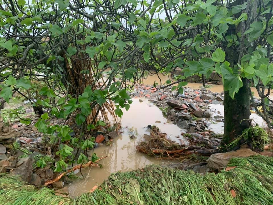 Fotos: Daños provocados por las tormentas en Salorino