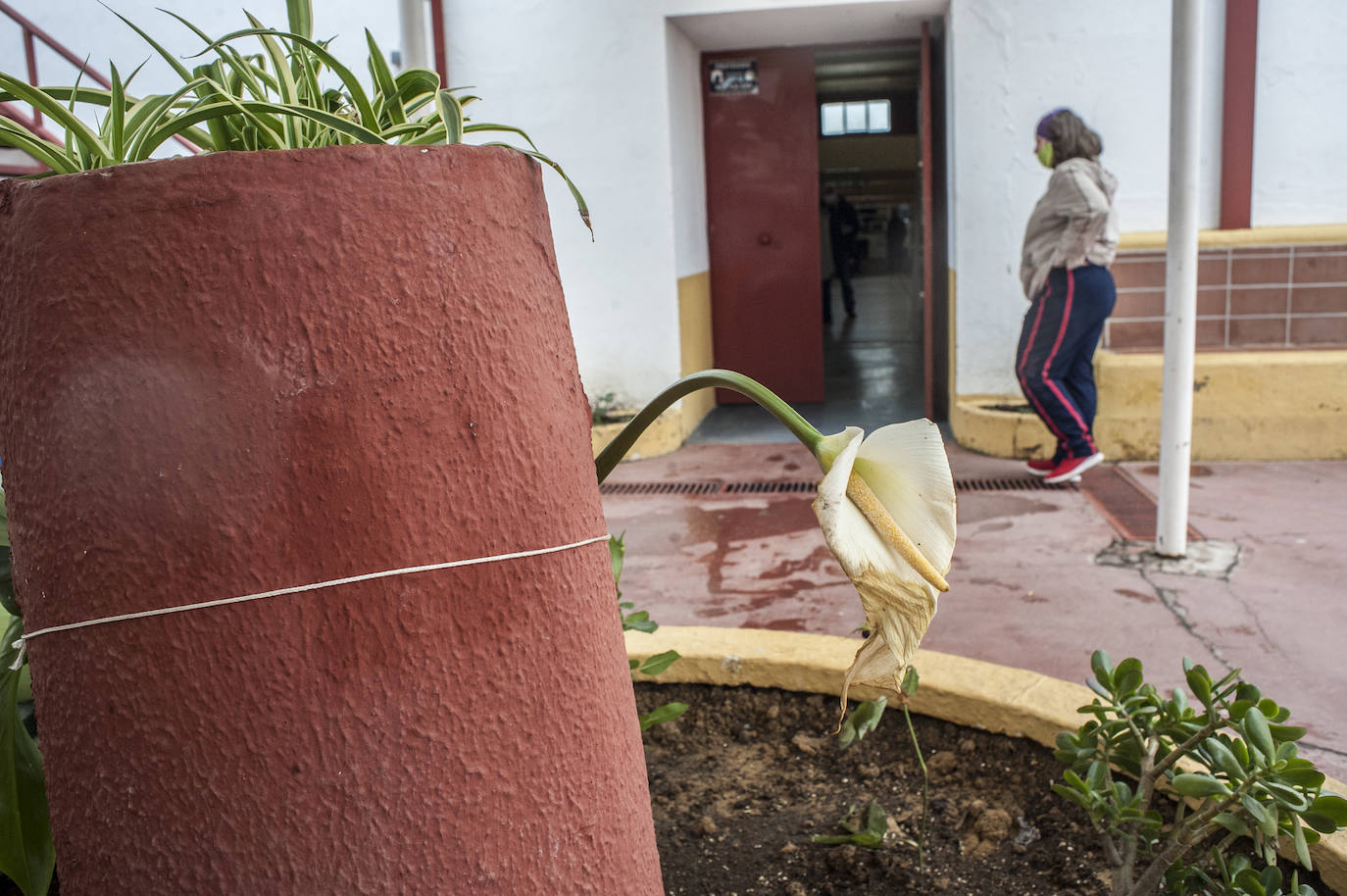 Fotos: Así viven 50personas en el polideportivo Las Palmeras en Badajoz