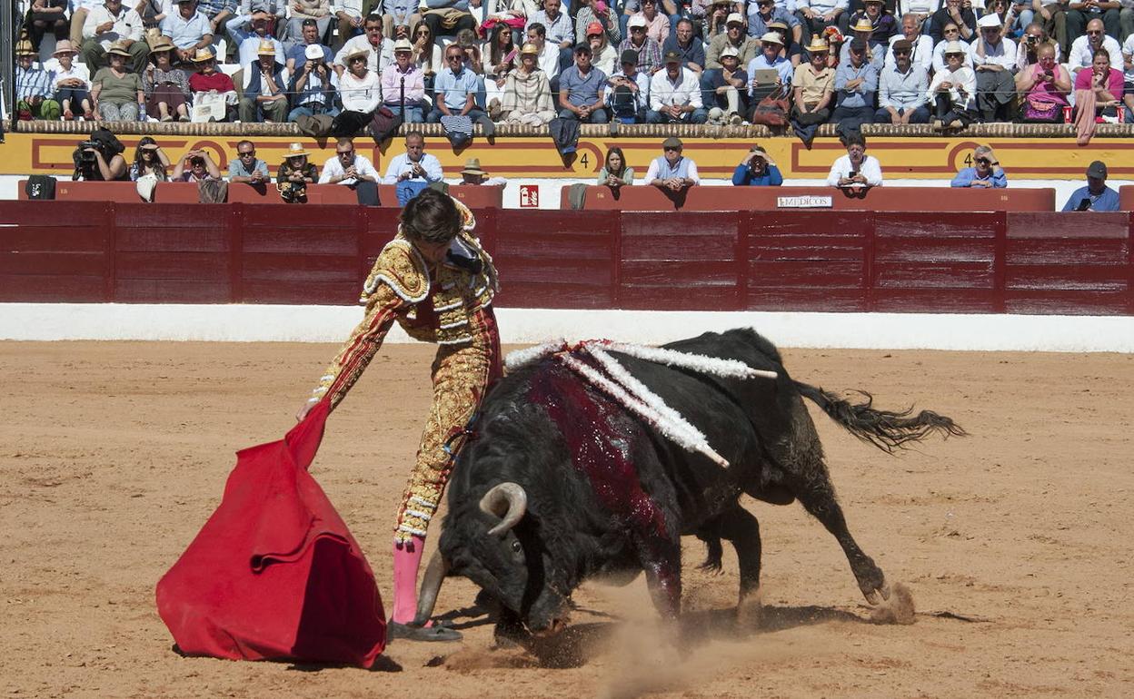 ¿Qué es torear?