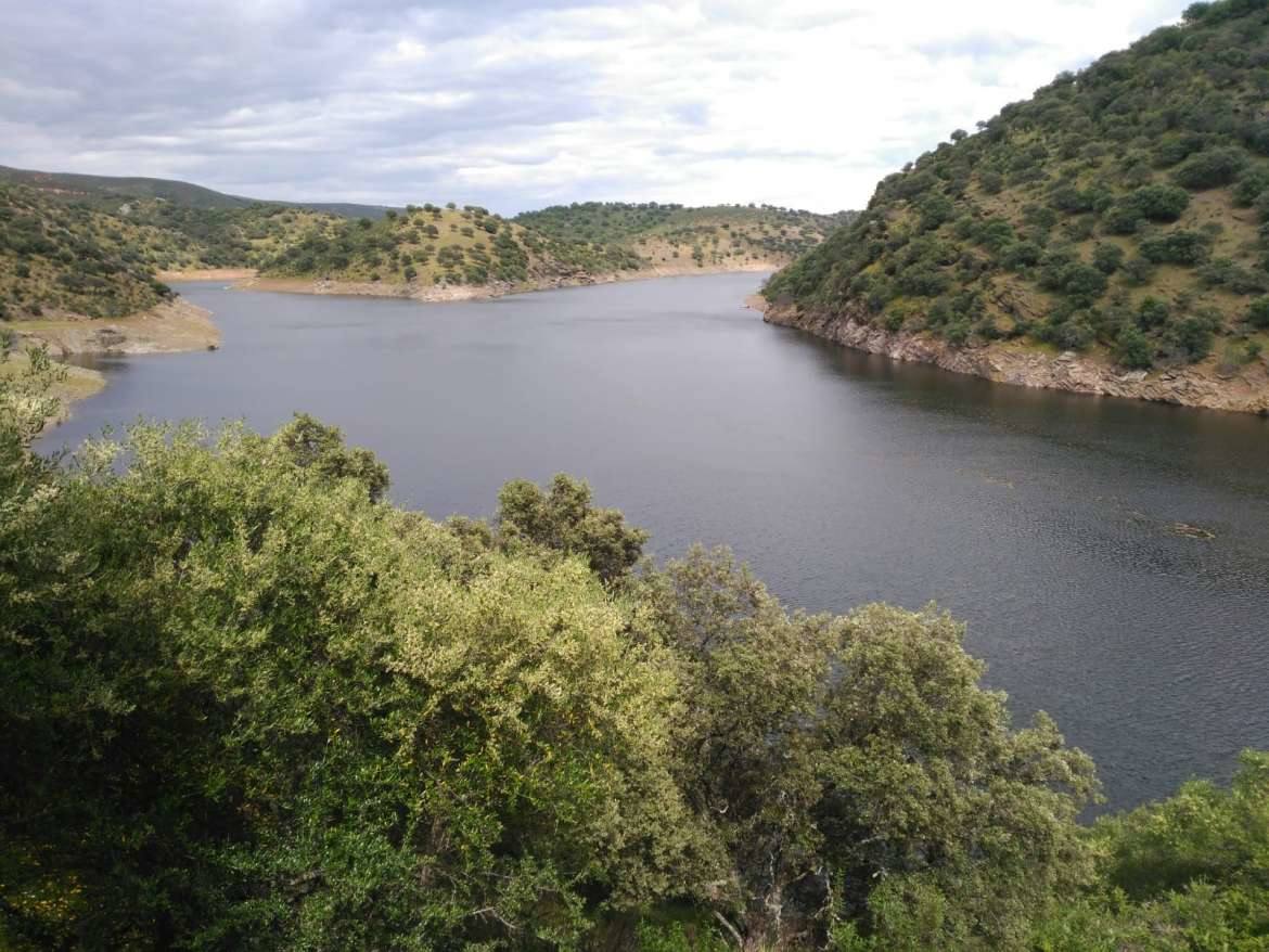 La azolla desaparece de las aguas del Tajo a su paso por Monfragüe. 