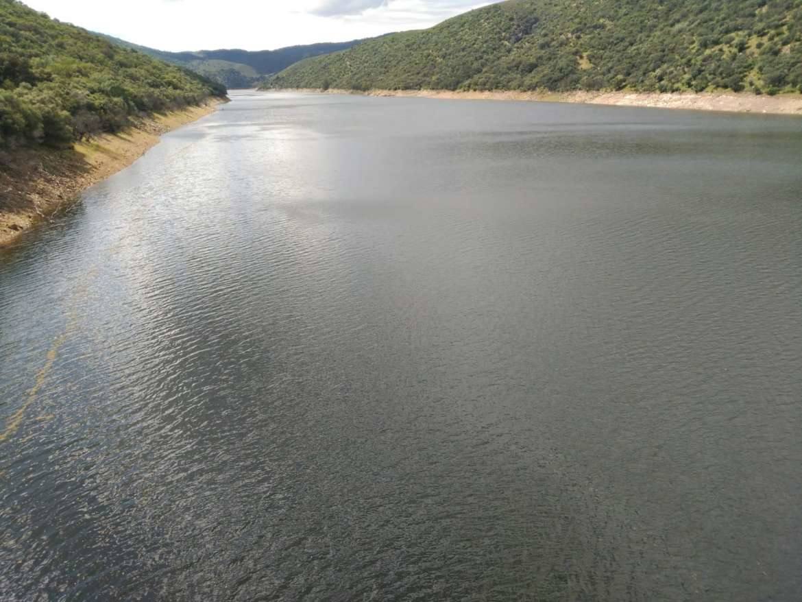 La azolla desaparece de las aguas del Tajo a su paso por Monfragüe. 