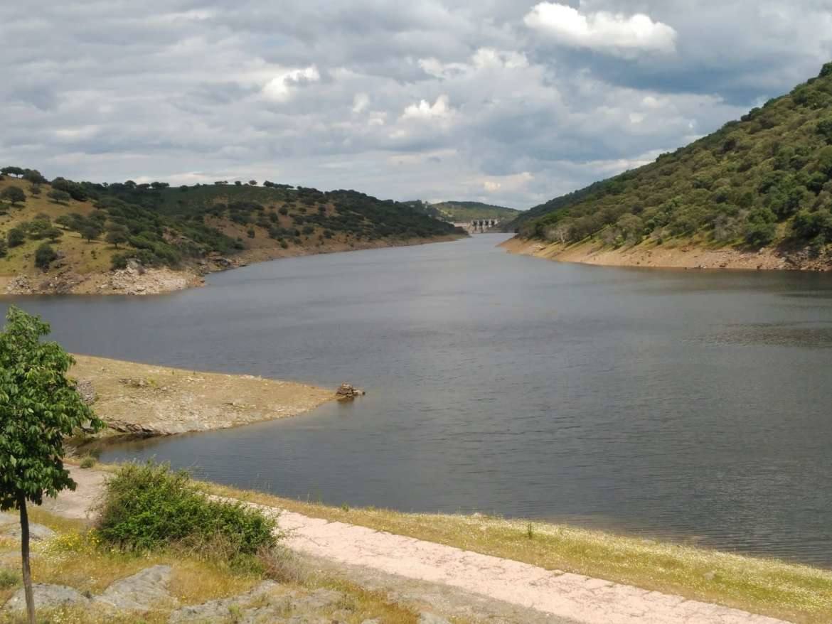 La azolla desaparece de las aguas del Tajo a su paso por Monfragüe. 