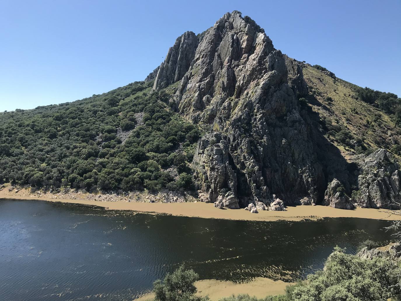 Fotos: El helecho de agua remite en Monfragüe