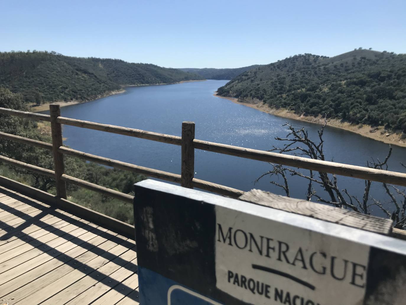 Fotos: El helecho de agua remite en Monfragüe