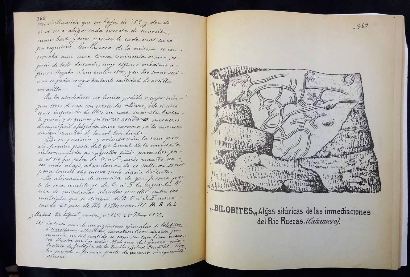 La parte del libro dedicada a las algas silúricas de Cañamero. 