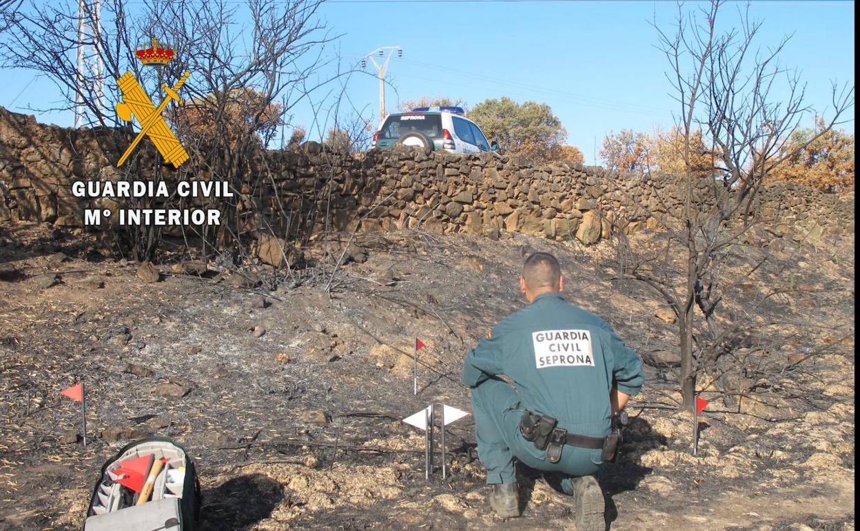 Un agente del Seprona tomando muestras en la finca donde se originó el fuego. 