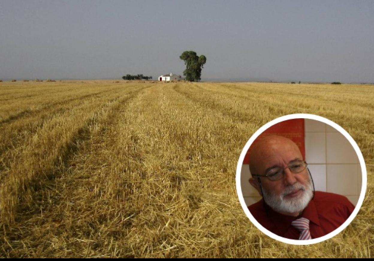 tLa CampiñaUno de los lugares favoritos de José del Moral es la Campiña Sur, en Badajoz. 