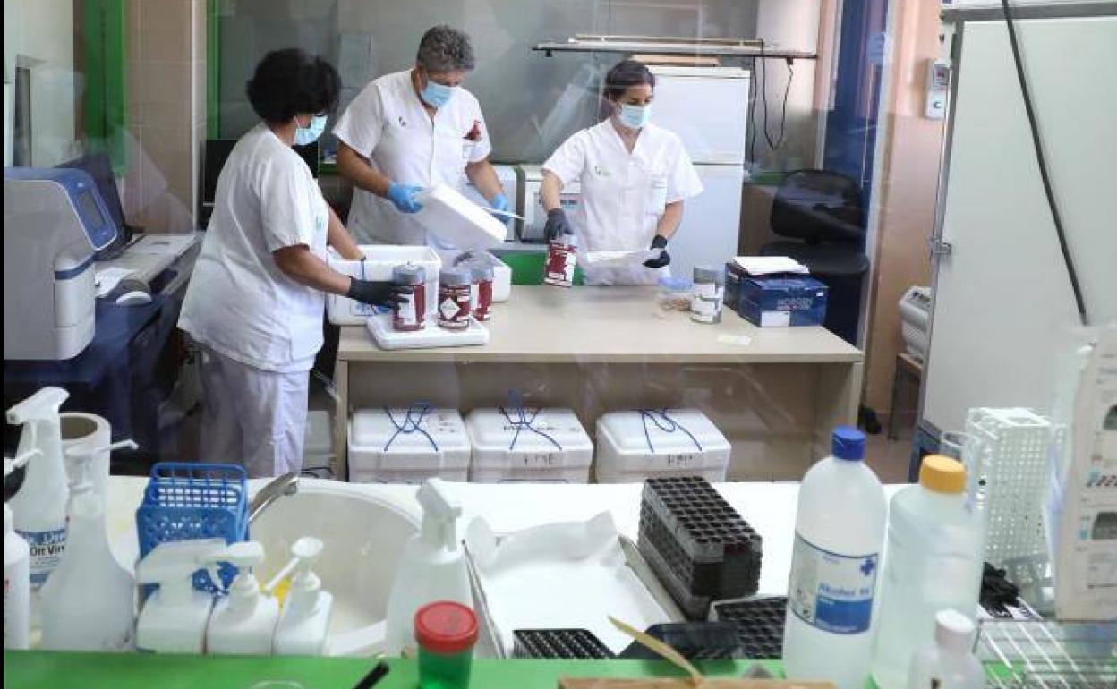 Laboratorio de pruebas PCR en Mérida.