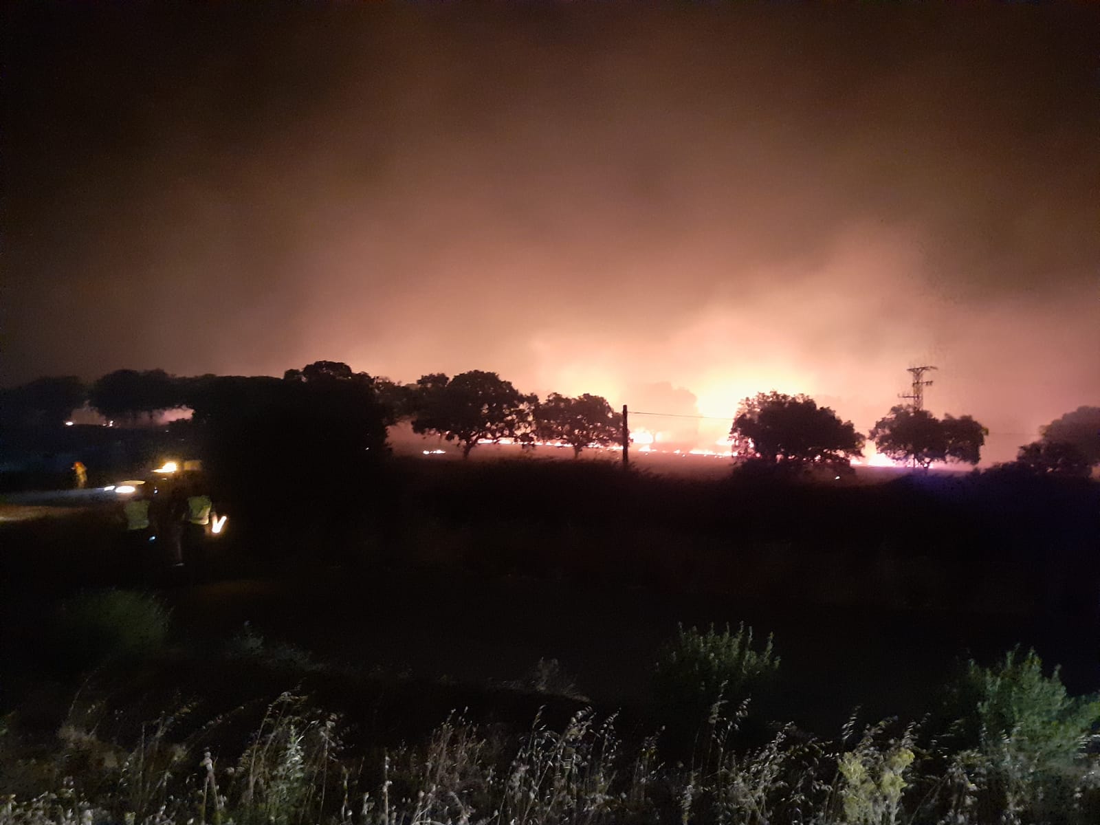 El incendio comenzó pasada la medianoche y obligó a cortar la carretera entre la capital del Jerte y Malpartida