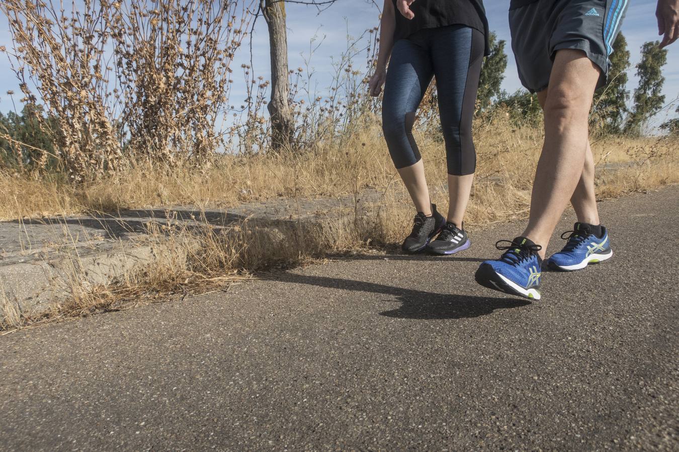 La maleza no permite a los peatones caminar por las aceras