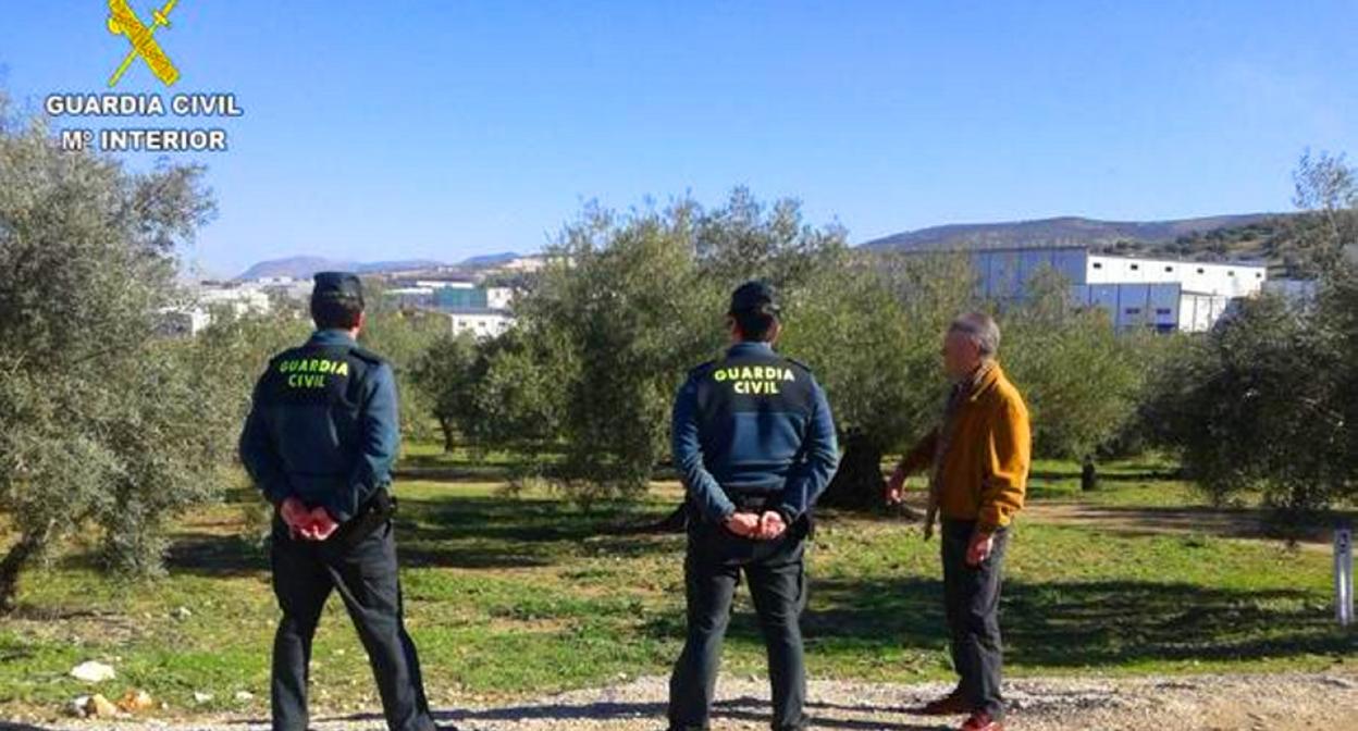 La Guardia Civil en uno de los olivares afectados, que están en siete localidades. 