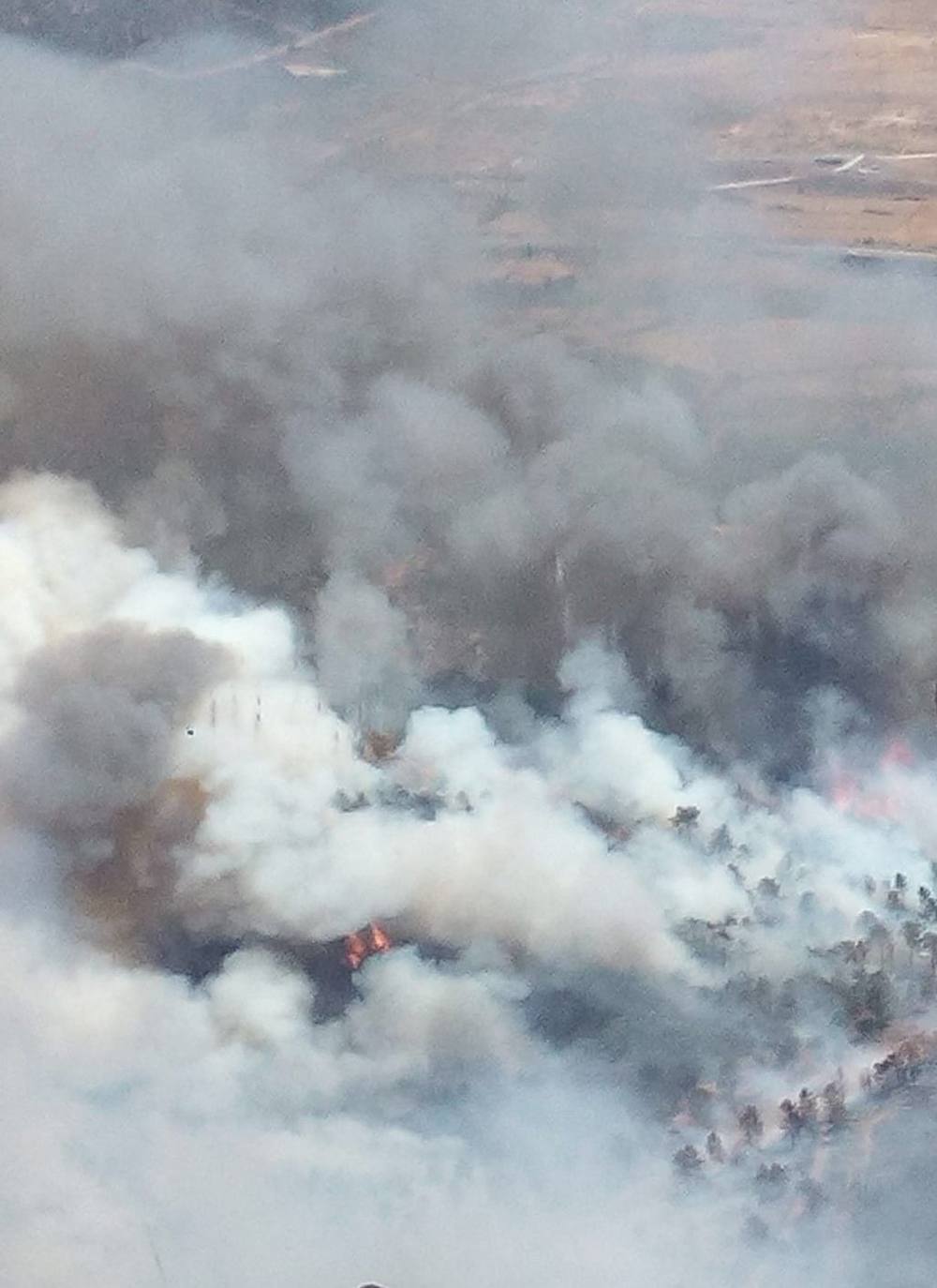 Fotos: Imágenes del incendio forestal registrado en Cañaveral