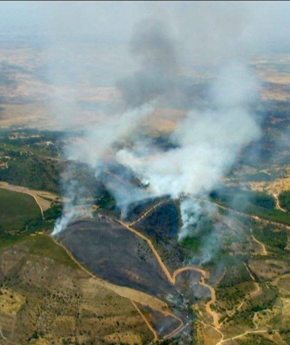 Fotos: Imágenes del incendio forestal registrado en Cañaveral