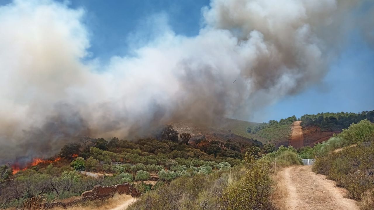Fotos: Imágenes del incendio forestal registrado en Cañaveral