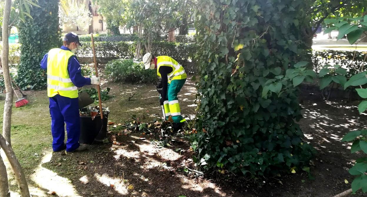Jardineros municipales en el parque. 