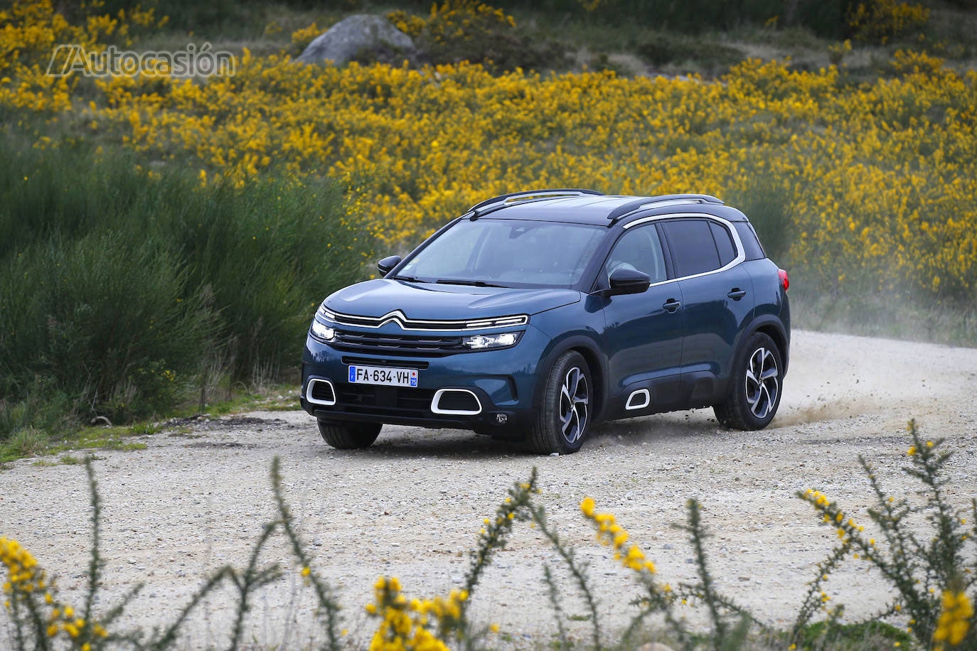 Fotos: Fotogalería: Citroën C5 Aircross BlueHDi 180