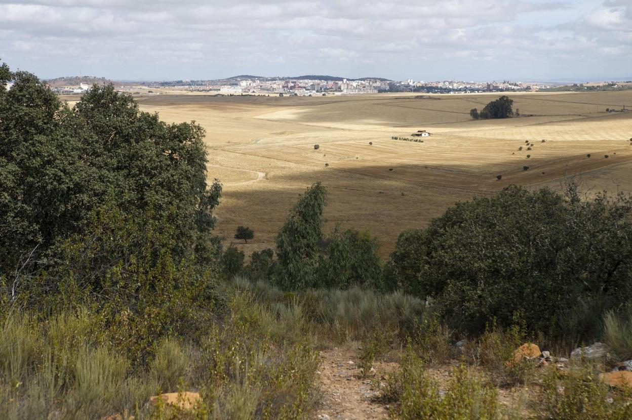 Imagen tomada desde el monte Arropez con una panorámica de la ciudad de Cáceres al fondo, a unos cinco kilómetros de distancia. 