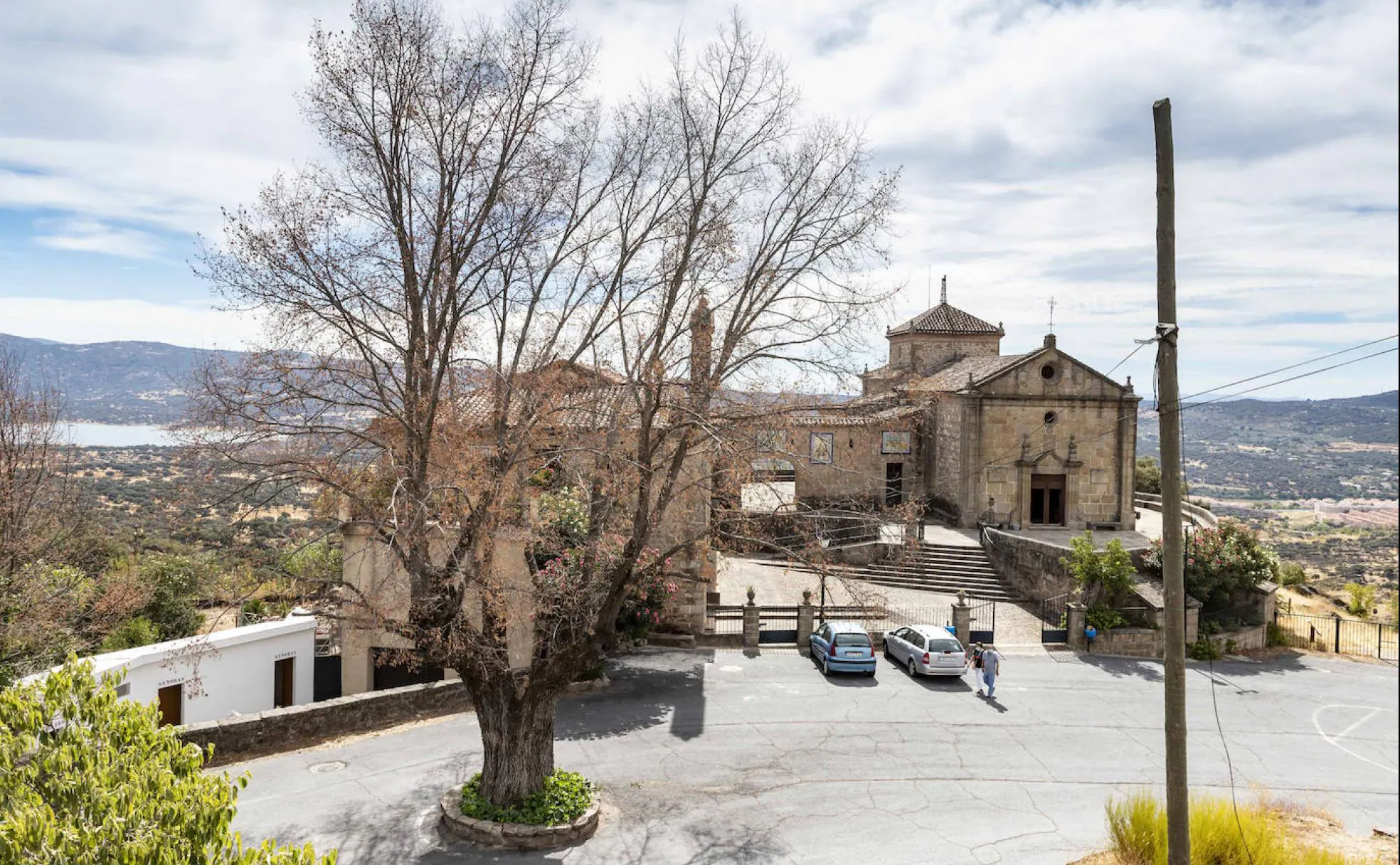 Imagen del último gran olmo que ha muerto, ubicado junto a la ermita del Puerto.