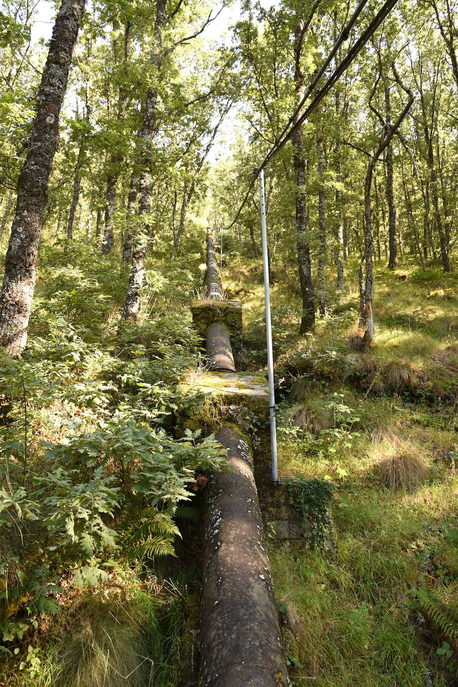 Fotos: Tres charcas en el pueblo de Hervás