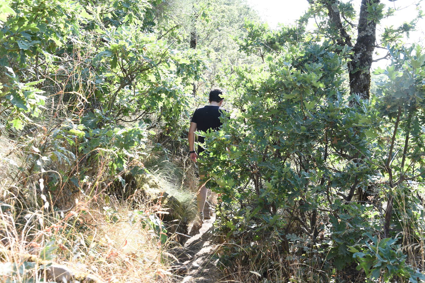Fotos: Tres charcas en el pueblo de Hervás