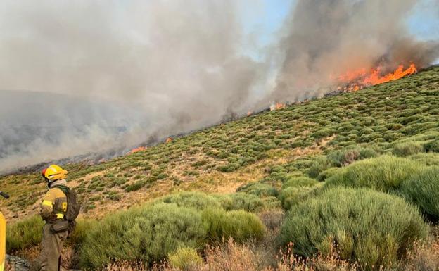 Avanza sin control el incendio que afecta al Jerte y La Vera 