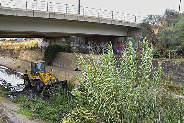Una excavadora retira la vegetación acumulada en el cauce del Rivillas. 