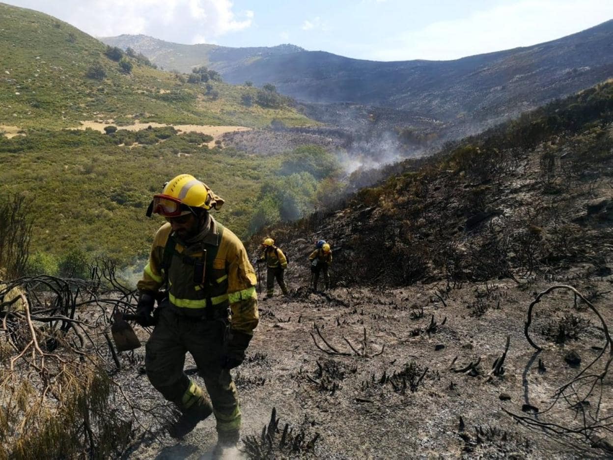 Los bomberos forestales, trabajando en Cabezuela. 