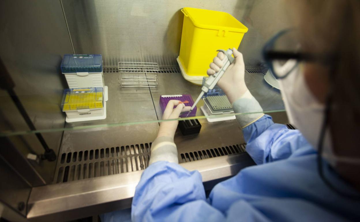 La residencia Santa Isabel de Torrejoncillo realizará PCR a usuarios y trabajadores tras detectar un positivo