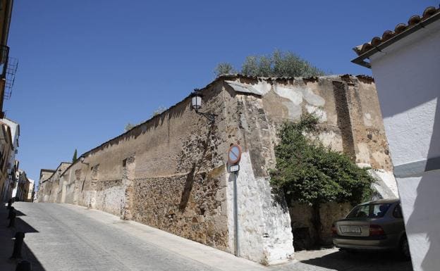 Muro exterior del olivar, en la calle Fuente Nueva.