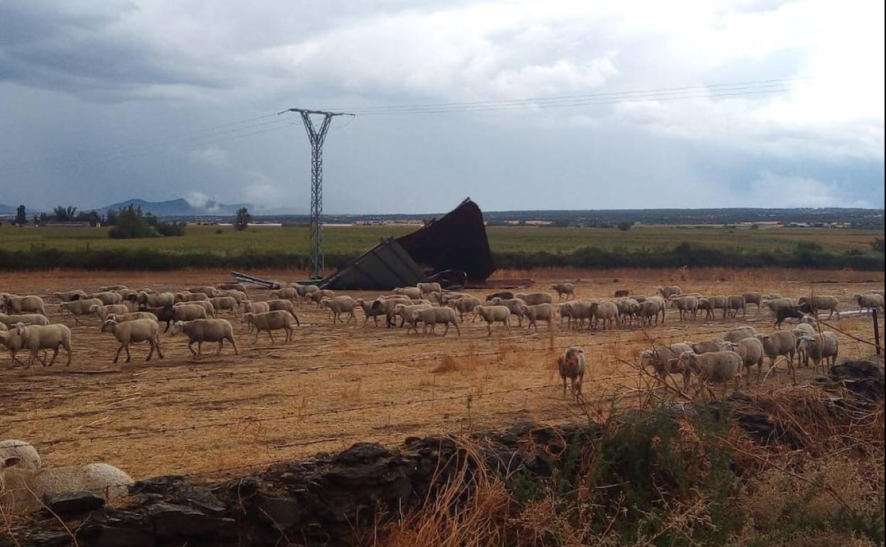 El tejado arrancado por el viento acabó a cien metros de la construcción.