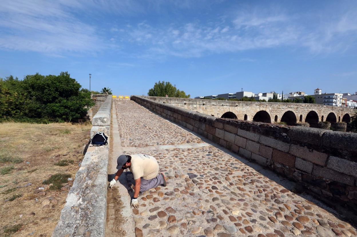 Un operario del Consorcio comienza los primeros trabajos de mejora en el descendedero. 