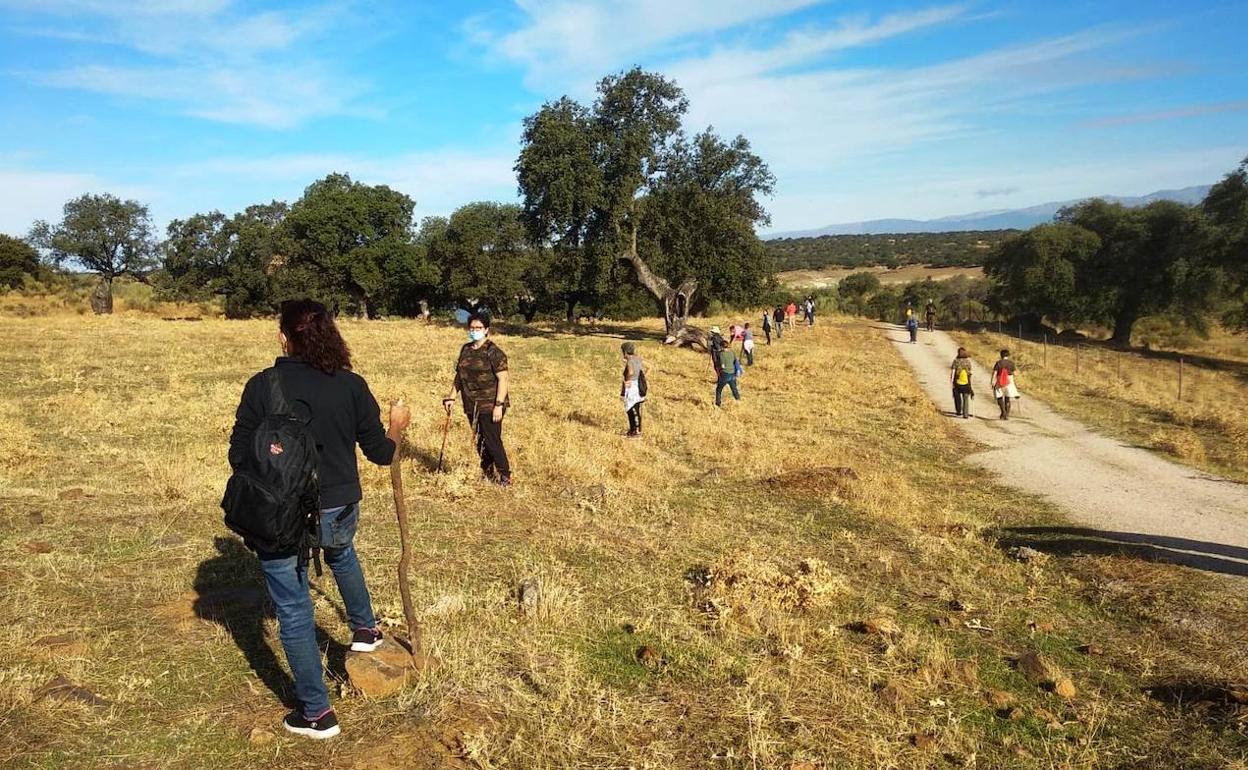Voluntarios en la búsqueda de Rosalía. 