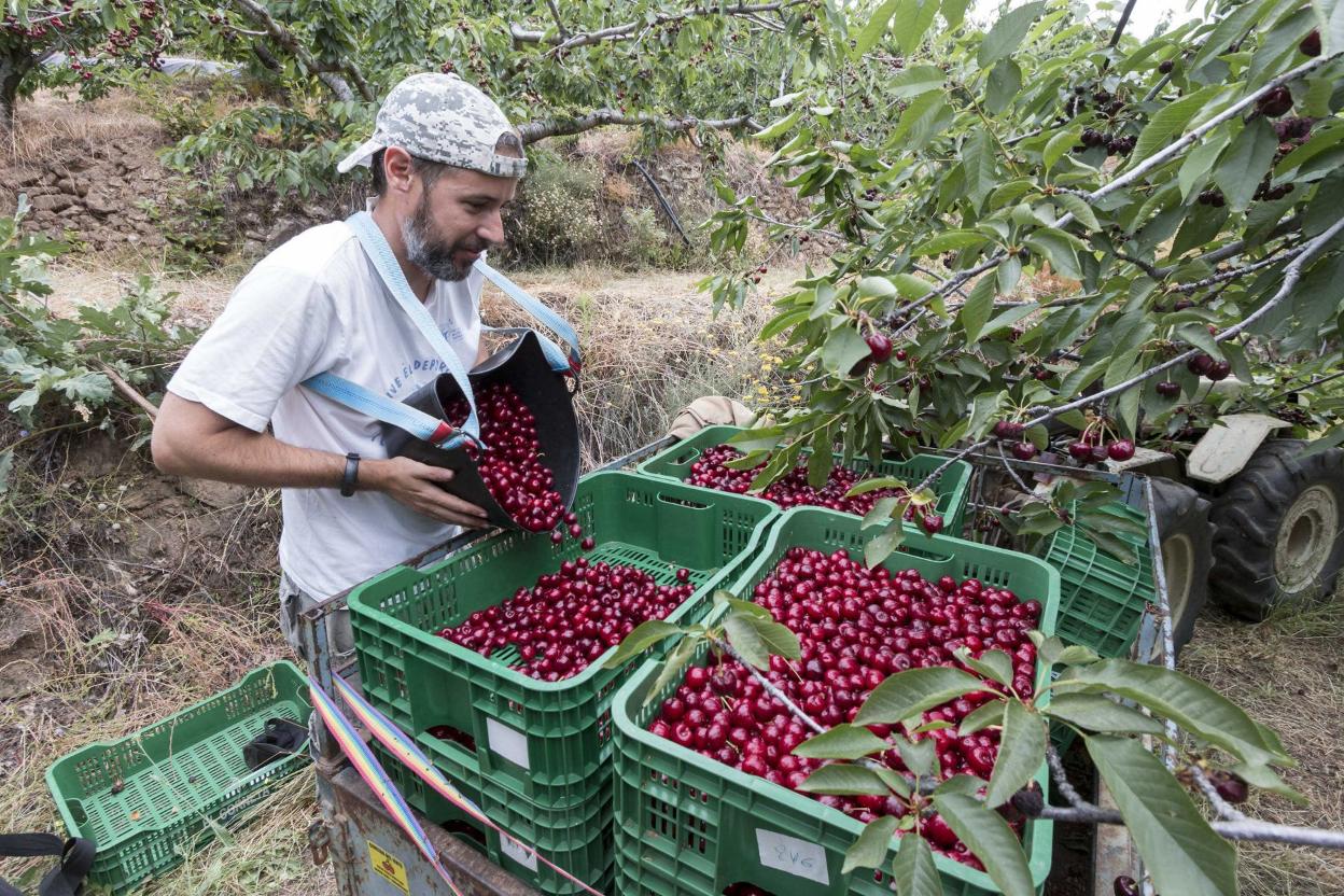 Los nuevos agricultores se repartirán hasta 30 millones de euros. 