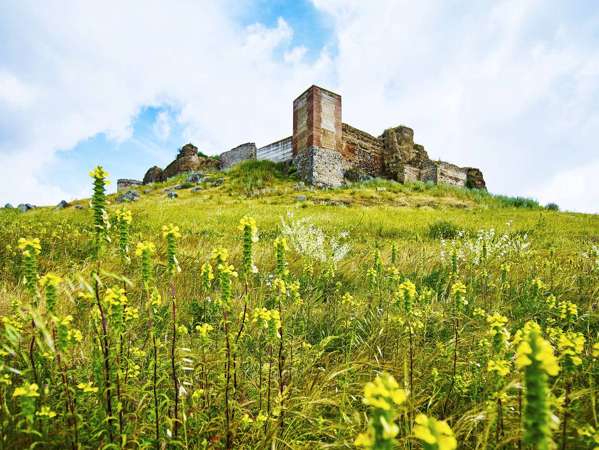 Castillo de Montemolín en primavera