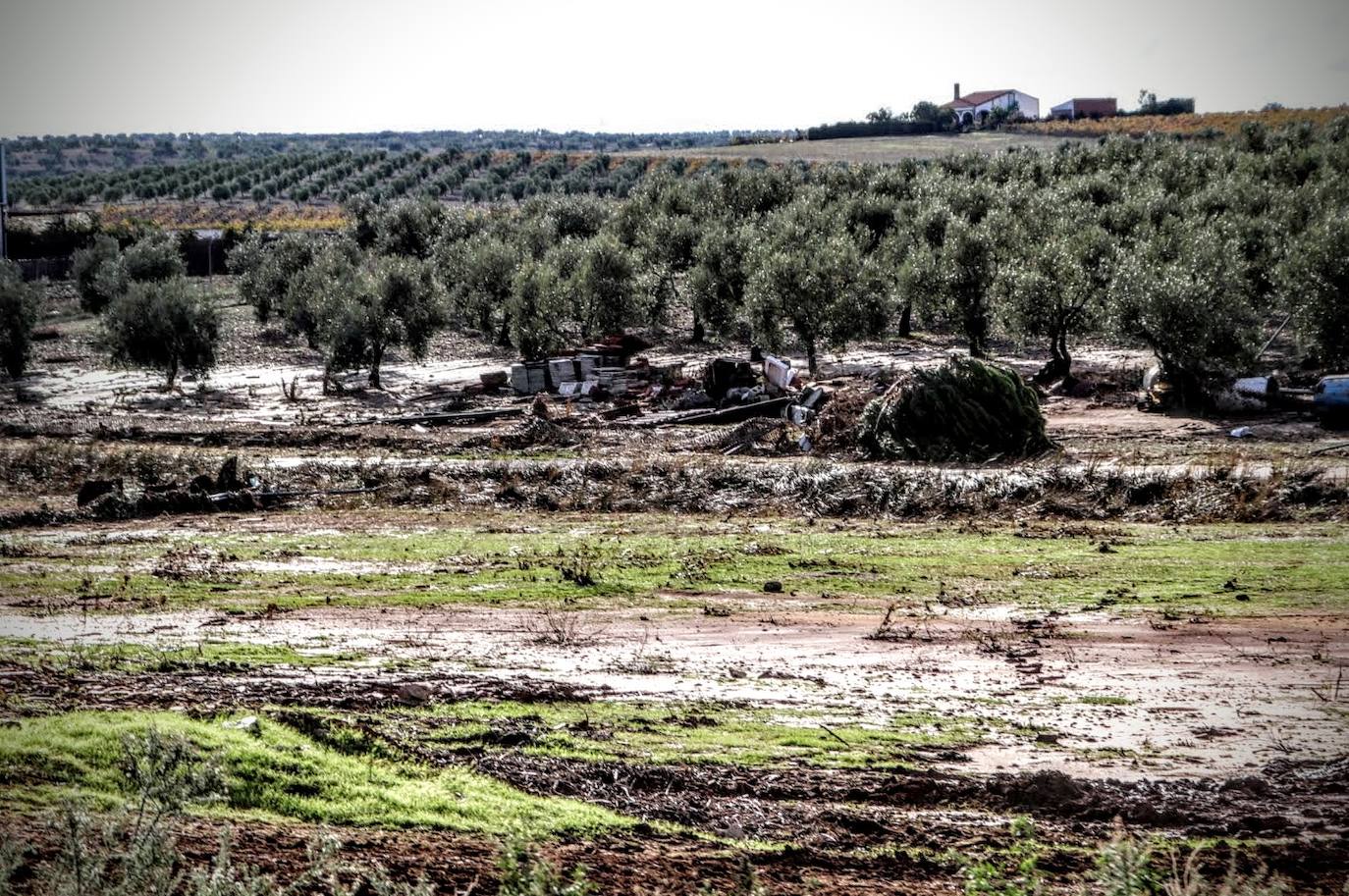 Desborde del arroyo de Valdemedel en Ribera del Fresno