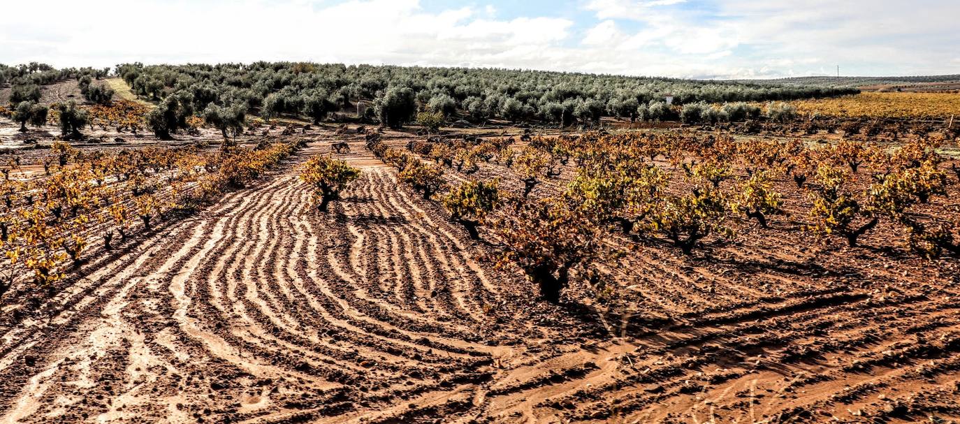 Desborde del arroyo de Valdemedel en Ribera del Fresno