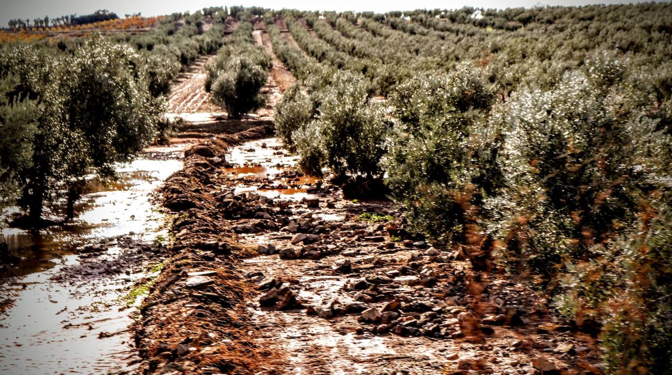 Desborde del arroyo de Valdemedel en Ribera del Fresno