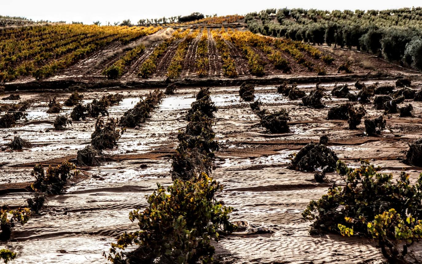 Desborde del arroyo de Valdemedel en Ribera del Fresno