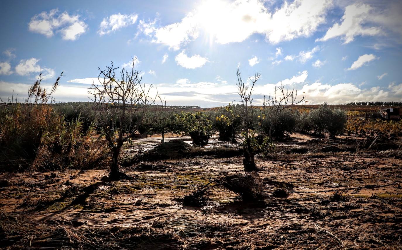 Desborde del arroyo de Valdemedel en Ribera del Fresno