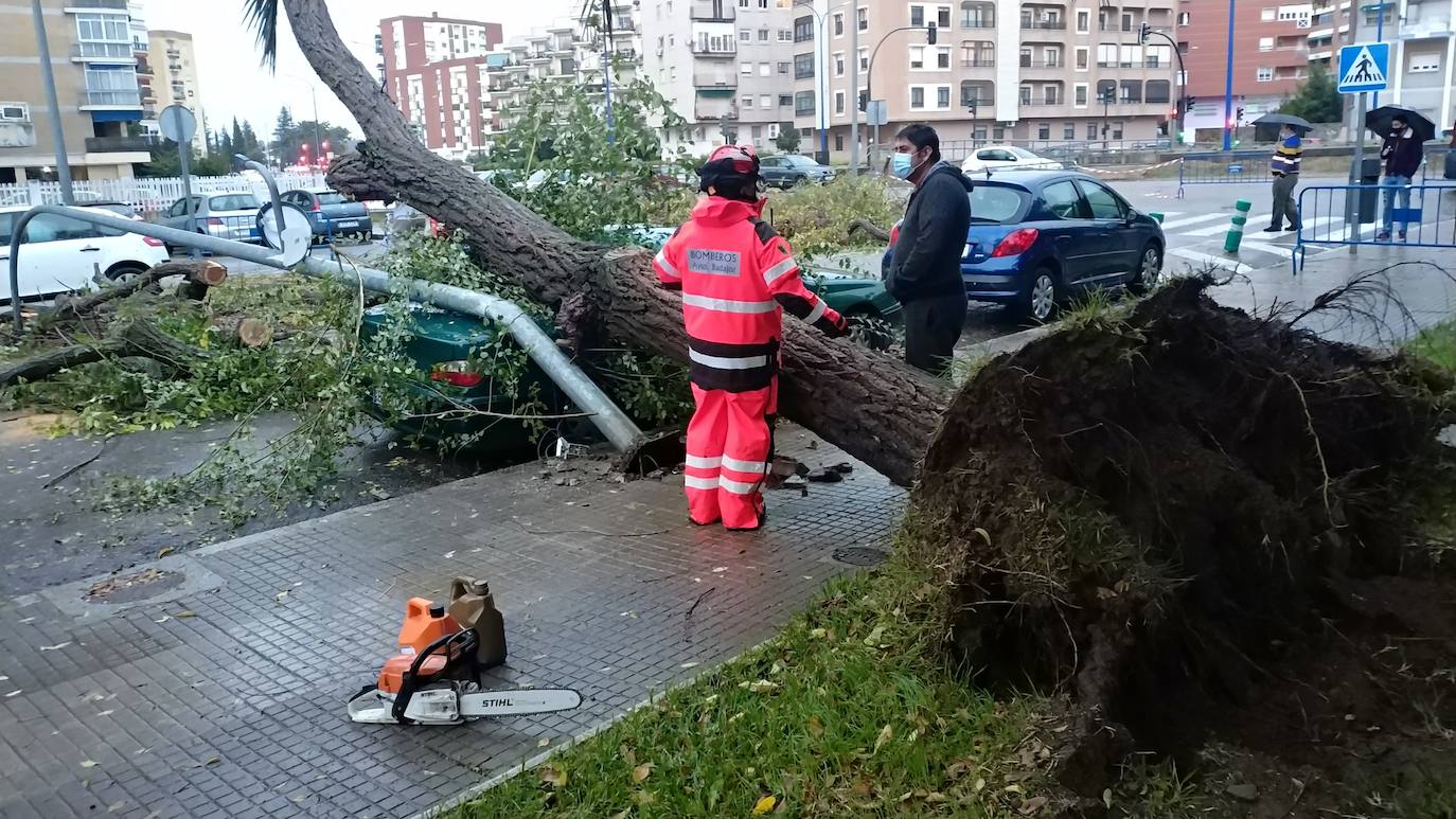 Fotos: Destrozos provocados por el vendaval registrado este viernes