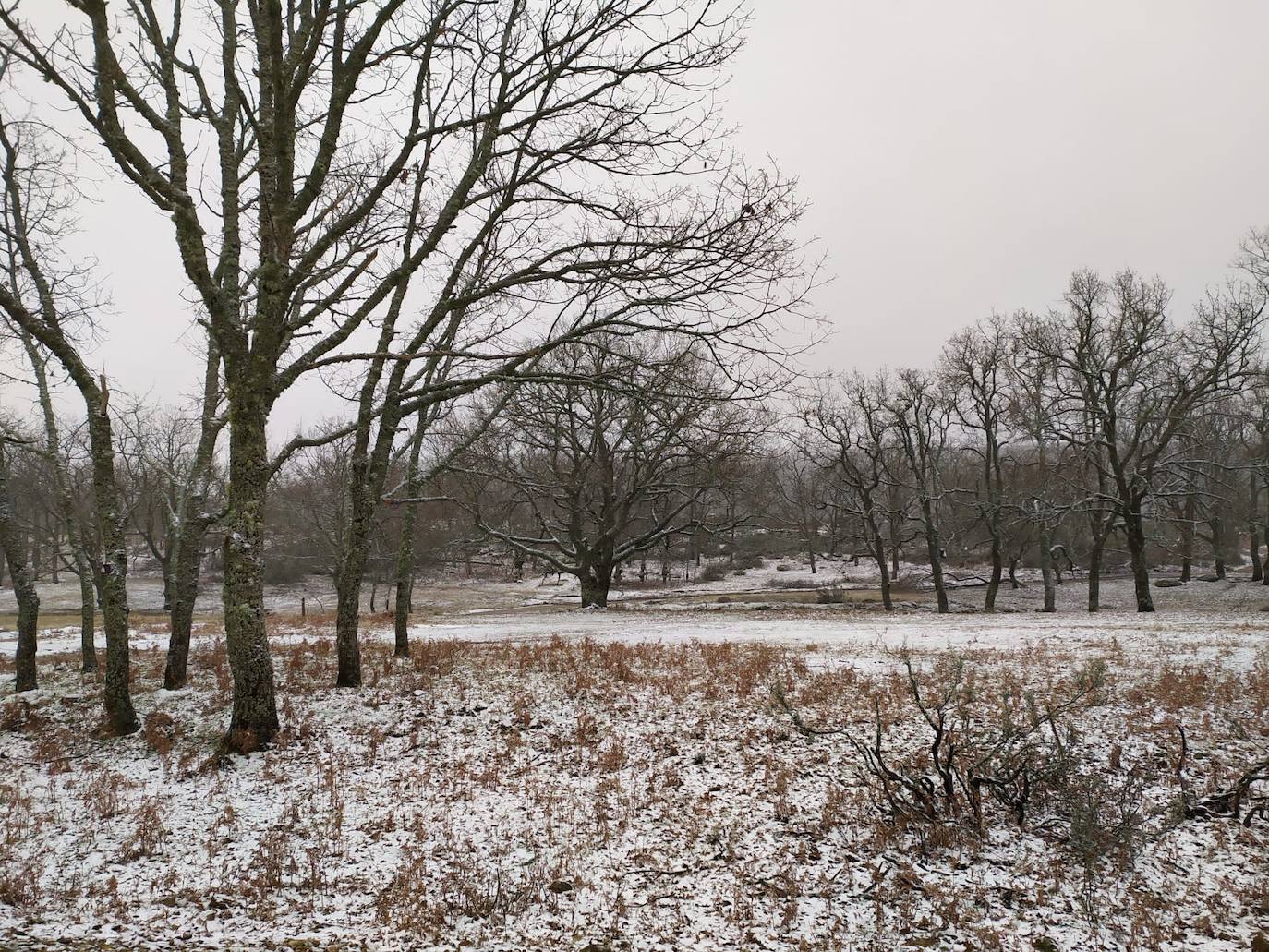 Nieve en el entorno de Piornal, el pueblo más alto del Valle del Jerte y de toda la región