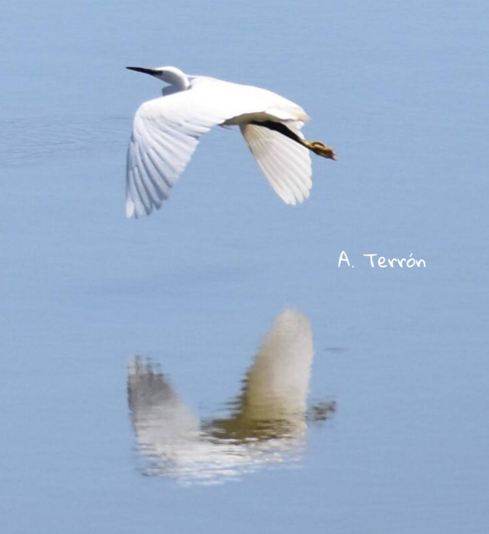 Fotos: Guadiana, el río que nos une (I)