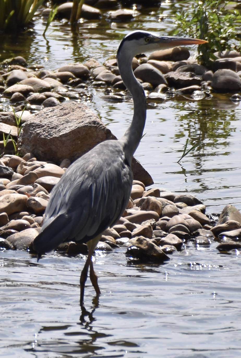 Fotos: Guadiana, el río que nos une (I)