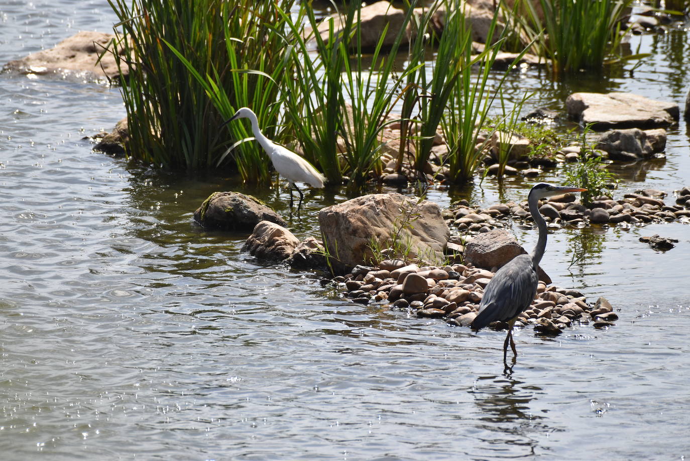 Fotos: Guadiana, el río que nos une (I)