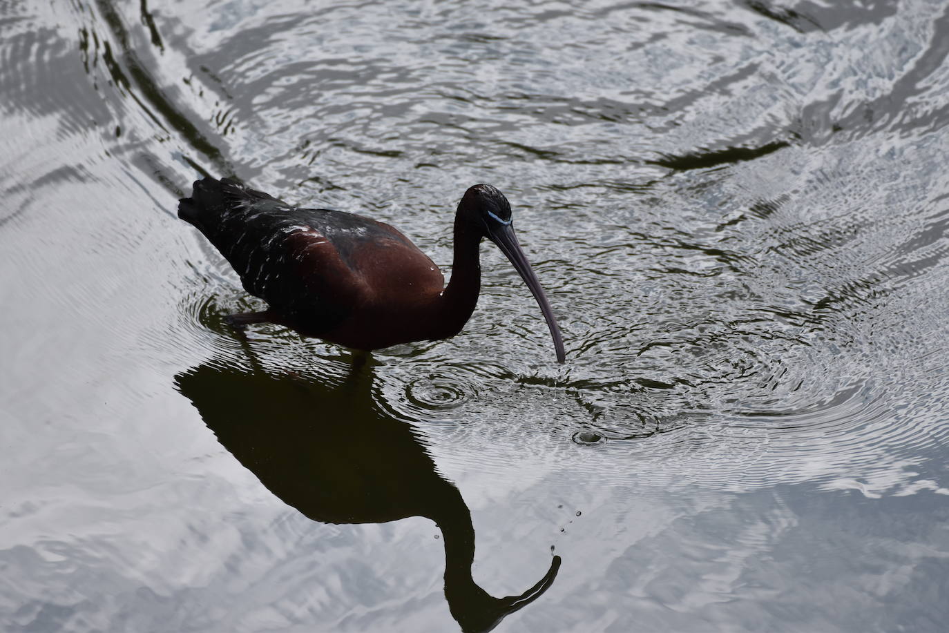 Fotos: Guadiana, el río que nos une (I)