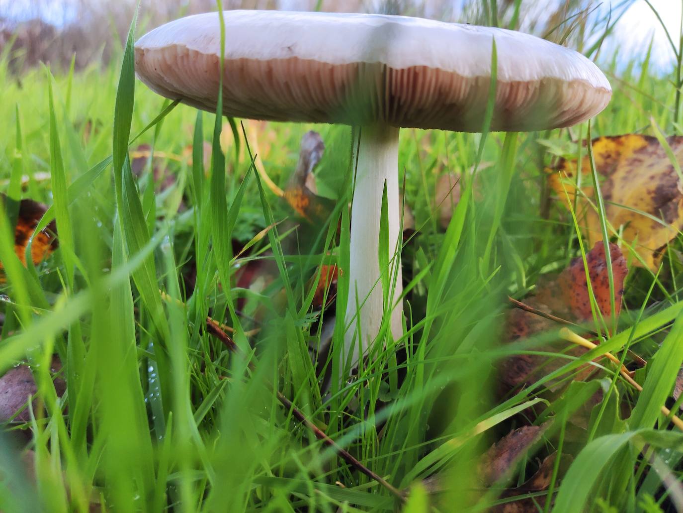 Fotos: Guadiana, el río que nos une (II)